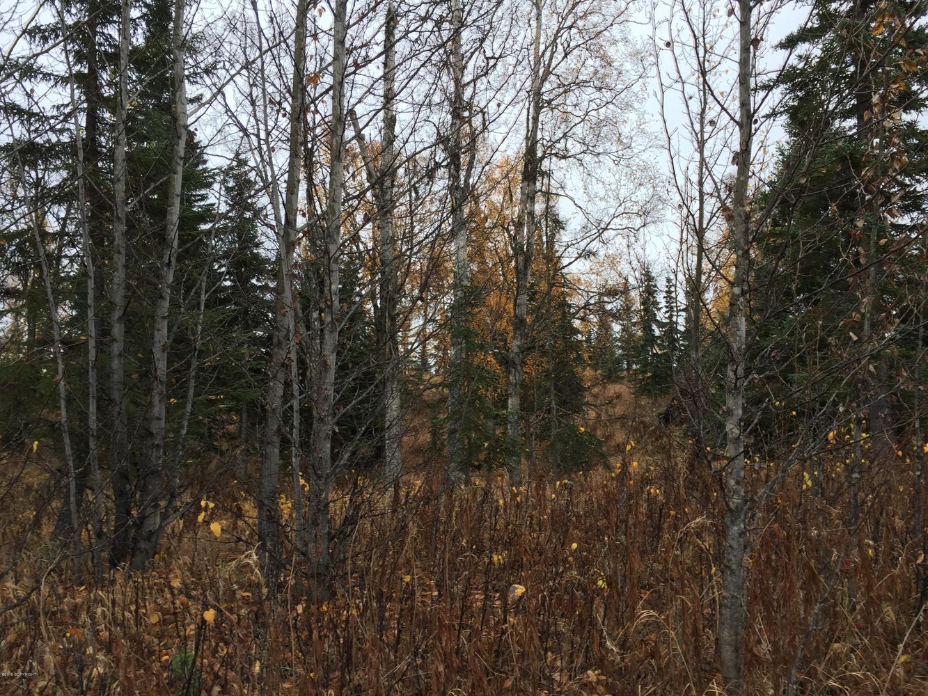 63885 Tailwind Rd, Ninilchik, AK 99639